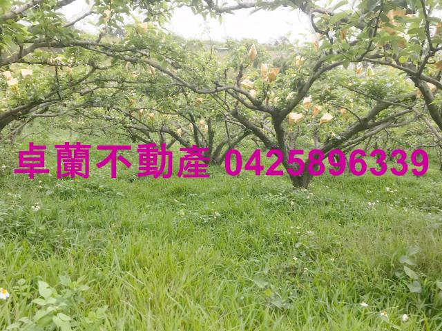苗栗農地-0