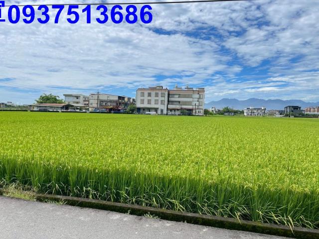 宜蘭農地-6