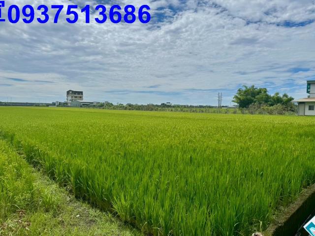 宜蘭農地-9