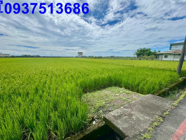 宜蘭農地-5