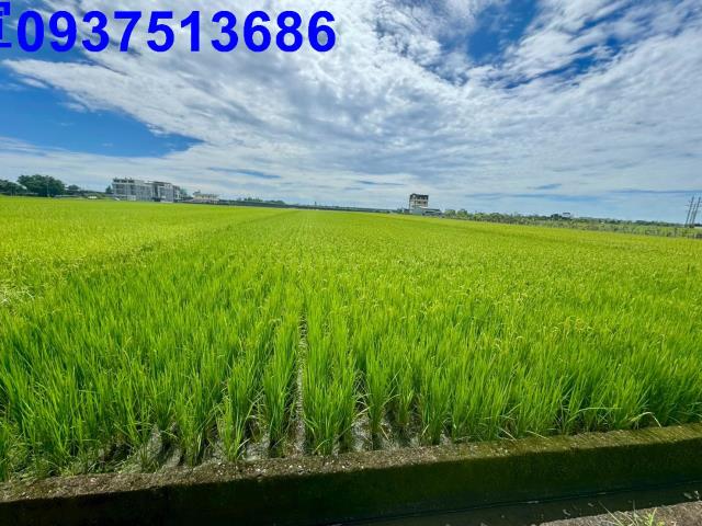 宜蘭農地-6