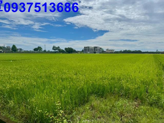 宜蘭農地-7