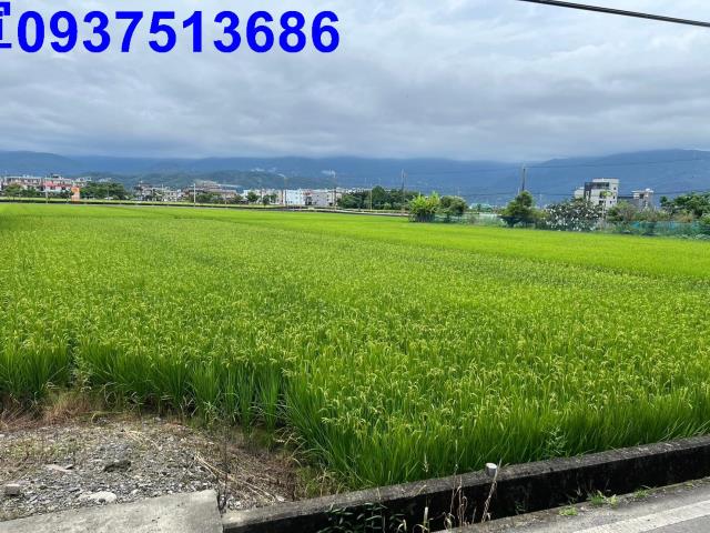 宜蘭農地-0
