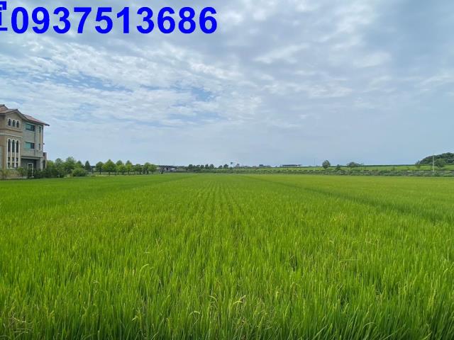 宜蘭壯圍農地-9