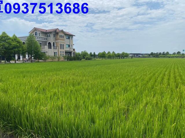宜蘭壯圍農地-4