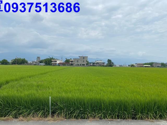 宜蘭壯圍農地-5
