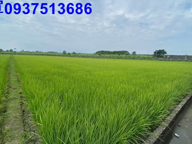 宜蘭壯圍農地-2