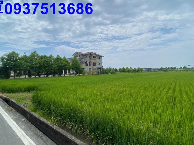 宜蘭壯圍農地-1