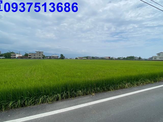宜蘭壯圍農地-6
