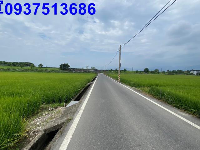宜蘭壯圍農地-0