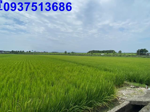 宜蘭壯圍農地-8