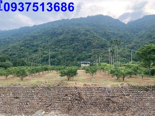 宜蘭員山農地-2