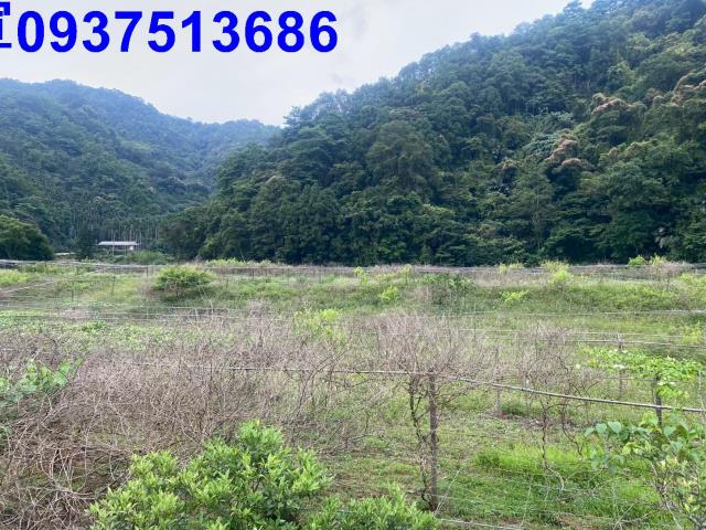 宜蘭員山農地-4