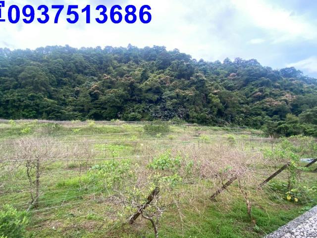 宜蘭員山農地-5