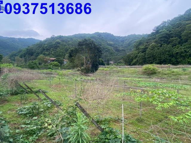 宜蘭員山農地-9