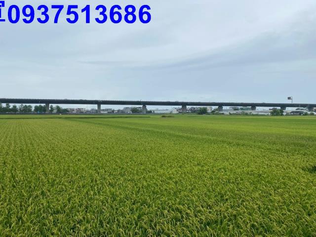 宜蘭礁溪農地-9