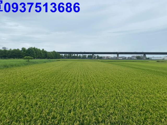 宜蘭礁溪農地-10