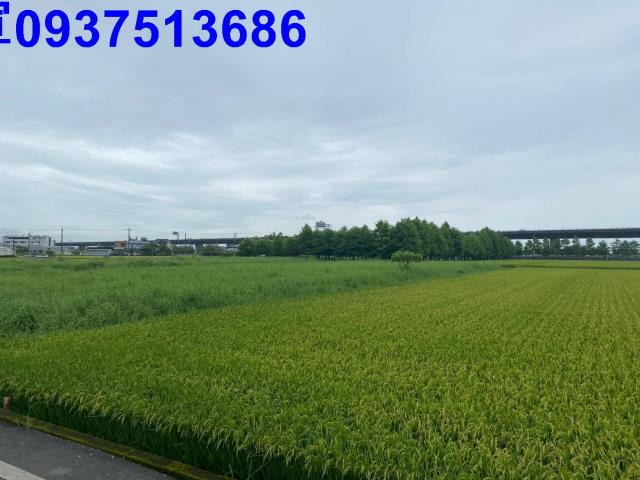 宜蘭礁溪農地-1