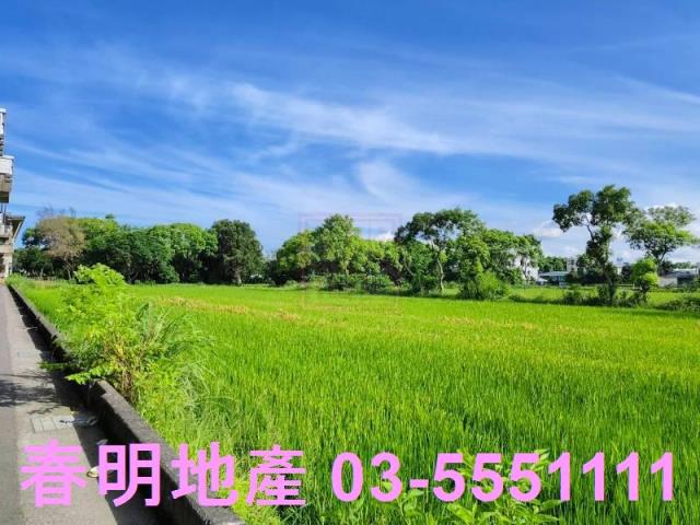 新竹東區農地-1