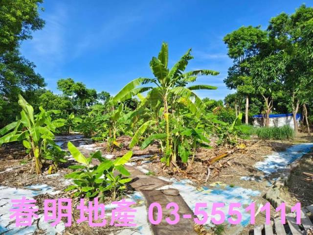 新竹東區農地-2