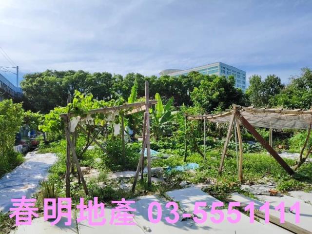 新竹東區農地-3