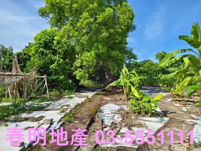 新竹東區農地-4