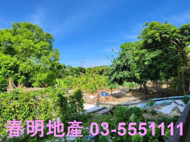 新竹東區農地-5