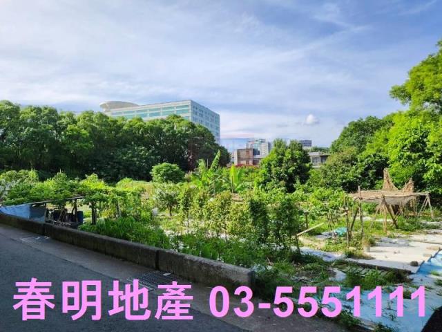 新竹東區農地-7