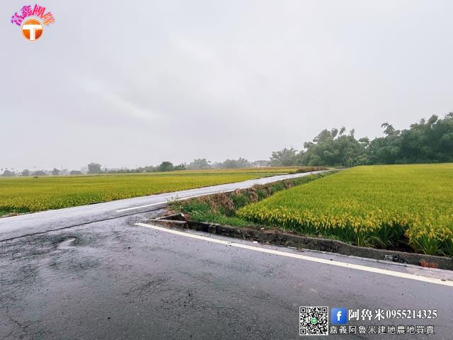 台南白河農地-1