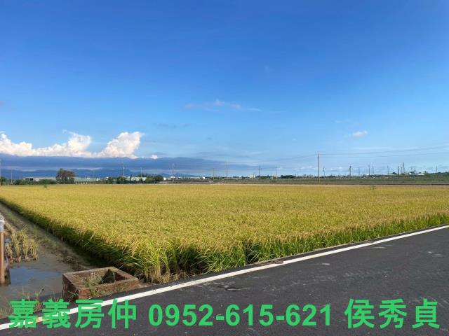 嘉義新港農地-2