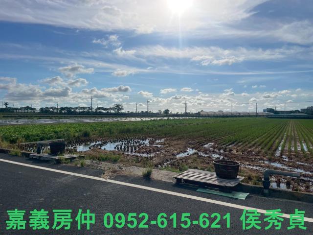 嘉義新港農地-3