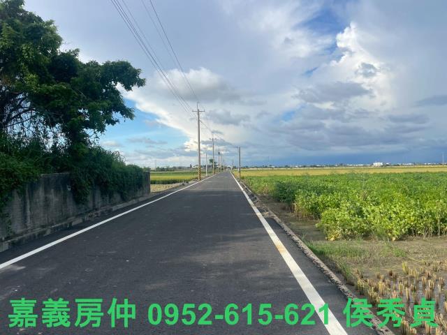 嘉義新港農地-5