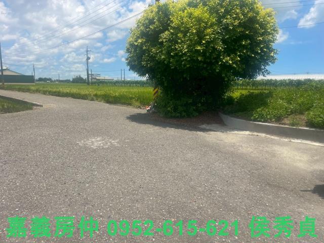 嘉義太保農地-0