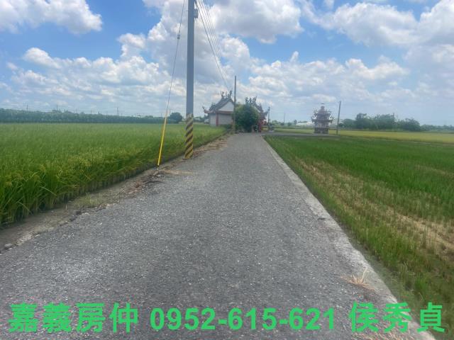 嘉義太保農地-3