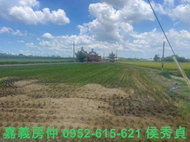 嘉義太保農地-5