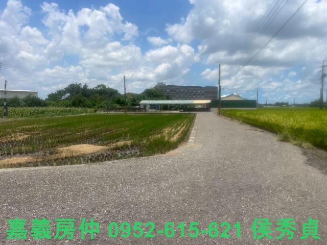 嘉義太保農地-6