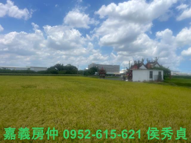 嘉義太保農地-8