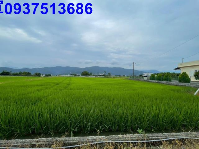 三星農地-14