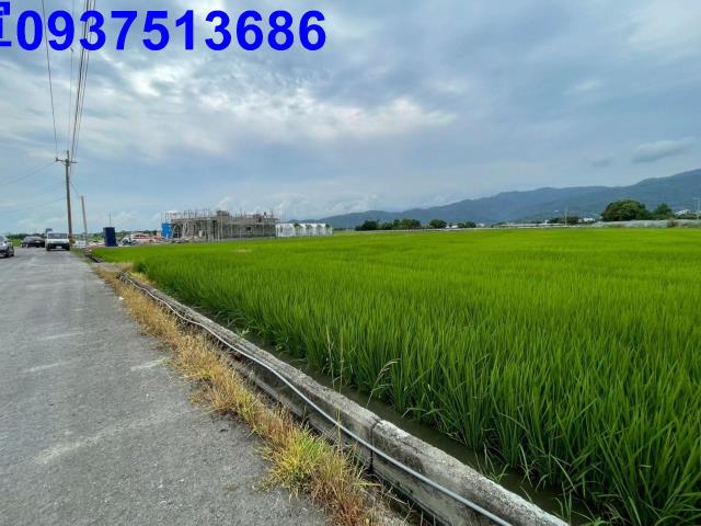 三星農地-6