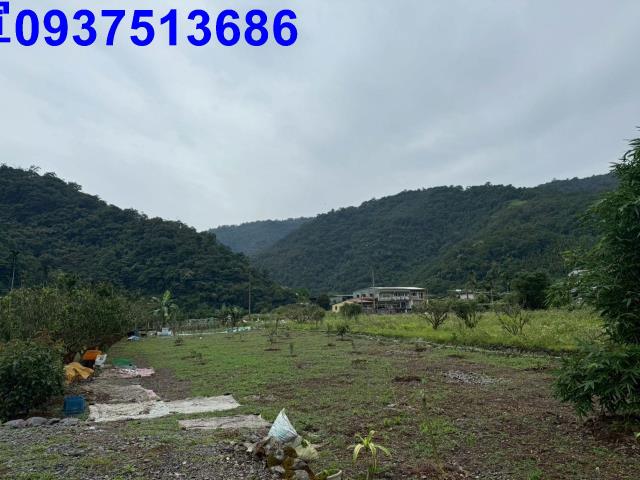 員山農地-9