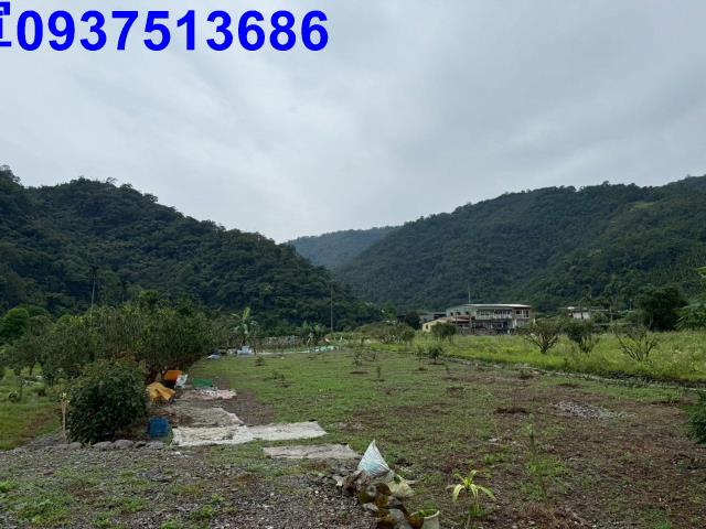 員山農地-8
