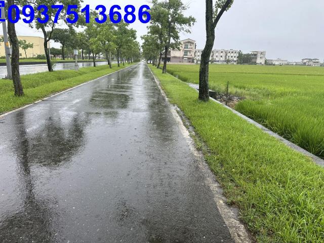 壯圍農地-9