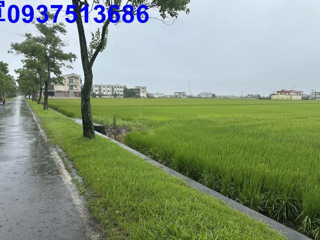 壯圍農地-10