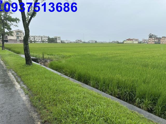 壯圍農地-0