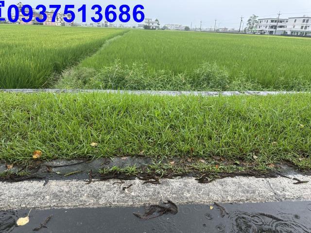 壯圍農地-2
