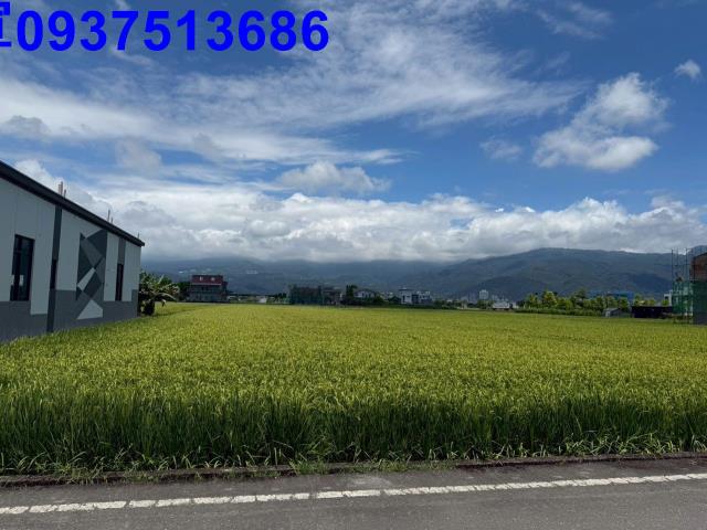 礁溪農地-4