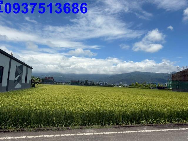 礁溪農地-5