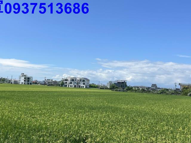 礁溪農地-6