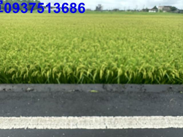 礁溪農地-1