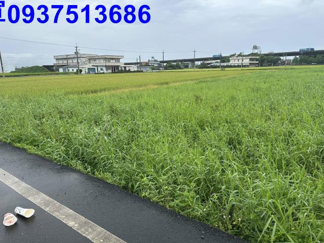 礁溪農地-2